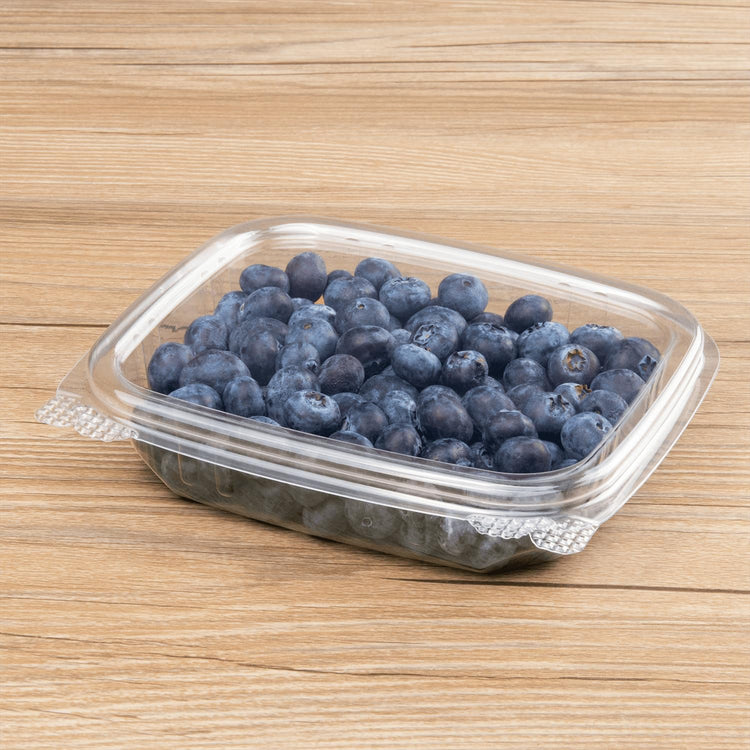 8oz 200 ct Small Clamshell Containers with Lids (200 Count)