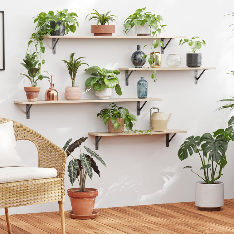 Long Wall Shelves (2 Count)