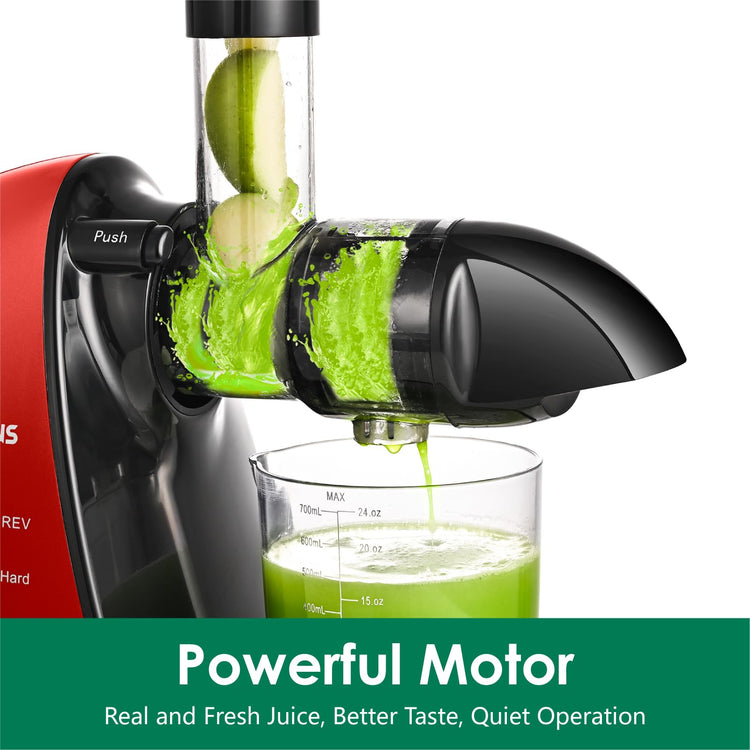 Slow Masticating Juicer