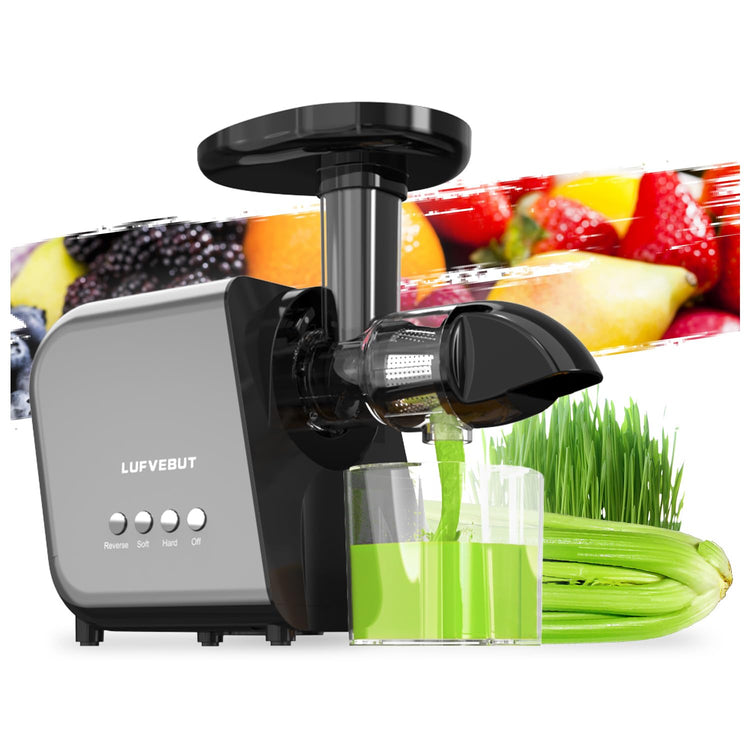 Slow Juicer Machine for Vegetables and Fruits Cold Press Masticating Extractor Celery Wheatgrass Leafy Greens Carrot Ginger Beet