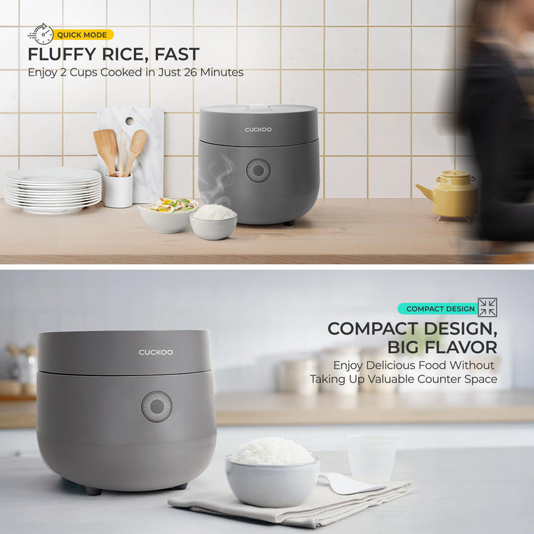 Micom Fuzzy Logic Rice Cooker