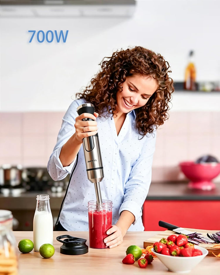 Immersion Blender Handheld