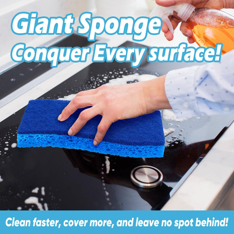 XL Sponges Kitchen 6Count (6 Count)