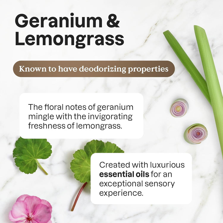 ATTITUDE Dish Soap, EWG Verified, Plant and Mineral-Based Ingredients, Vegan and Cruelty-free Household Products, Geranium and Lemongrass, 16 Fl Oz