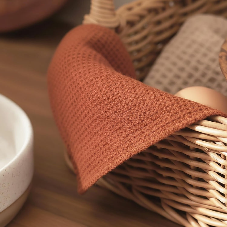 Rust Dish Cloths and Dish Rags