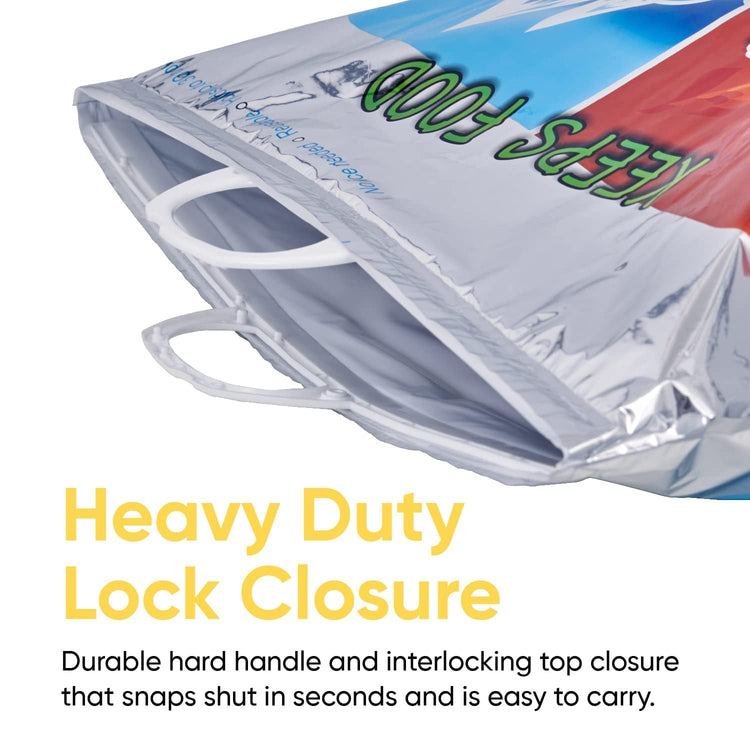 Hot and Cold Insulated Bags for Food Delivery