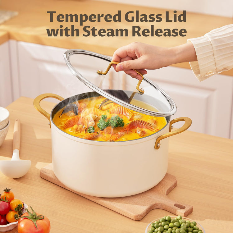 12QT Large Ceramic Nonstick Stock Pot with Lid