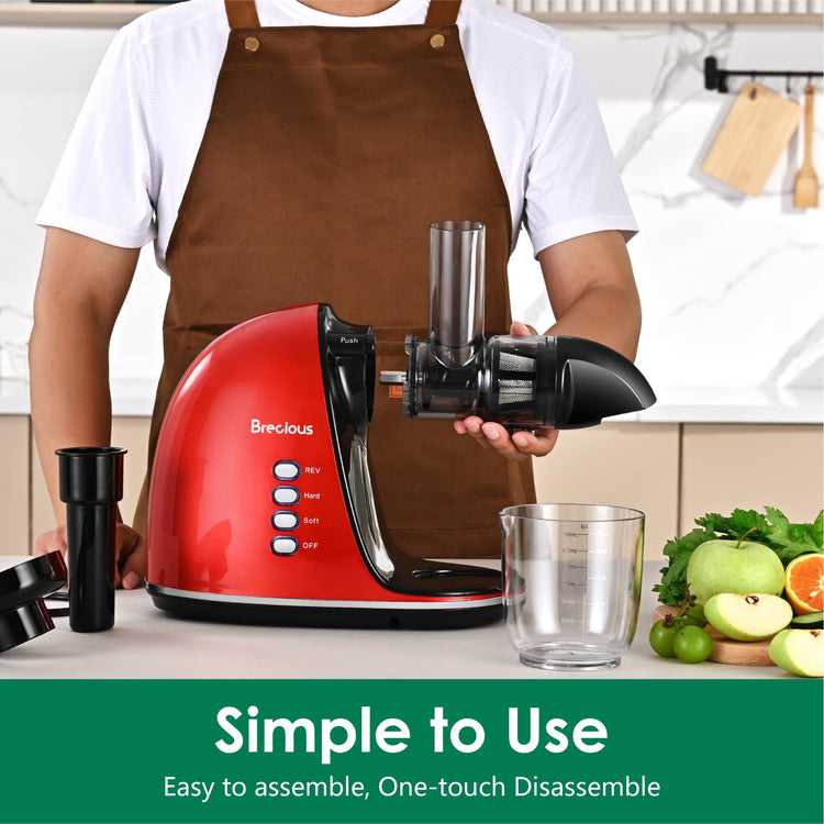 Slow Masticating Juicer