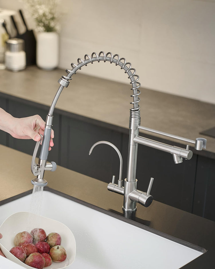 3 in 1 Faucet for Kitchen Sink