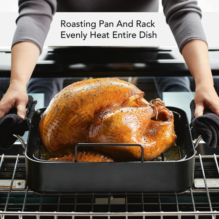 Hard Anodized Roaster
