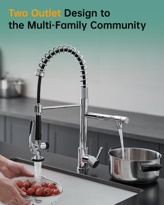 Chrome Kitchen Faucet with Sprayer