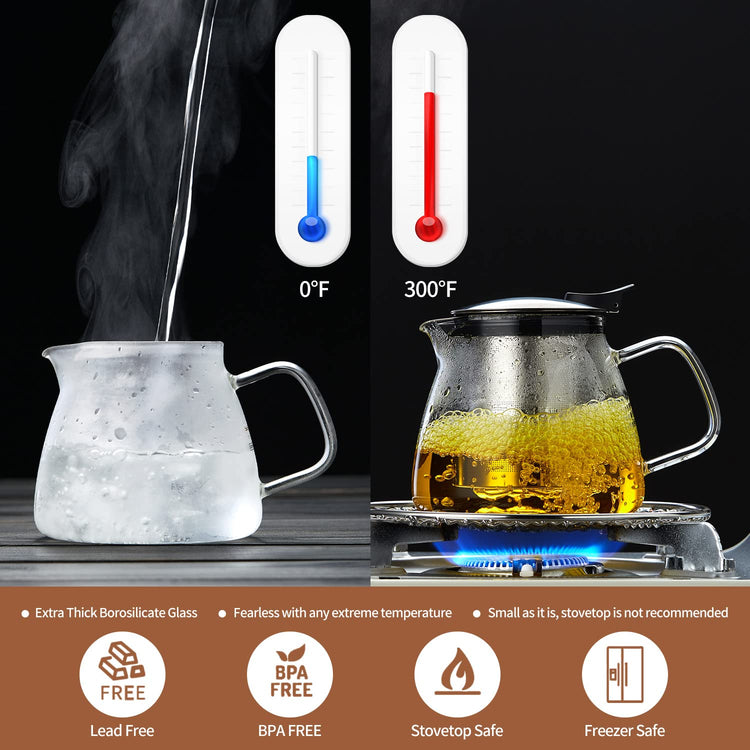 Glass Teapot Tea Pot with Removable Stainless Steel Infuser