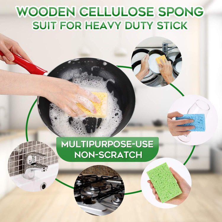 Compressed Cellulose Kitchen Sponges 12Pack (12 Count)
