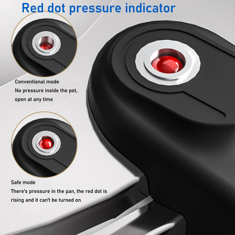 Stainless Steel Pressure Cooker