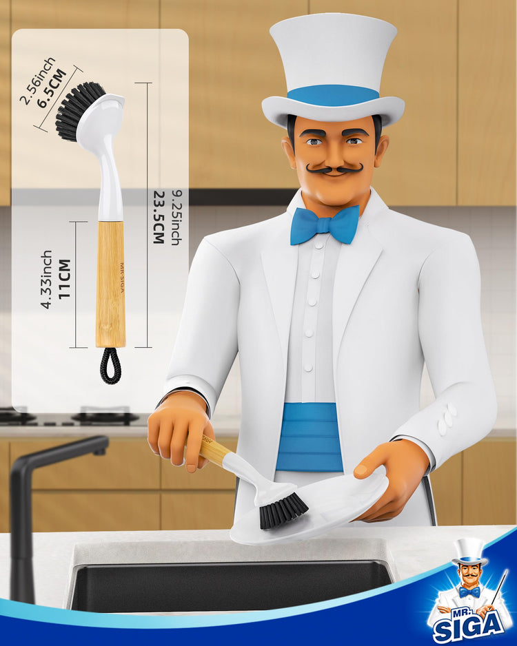 Dish Brush with Handle (2 Count)
