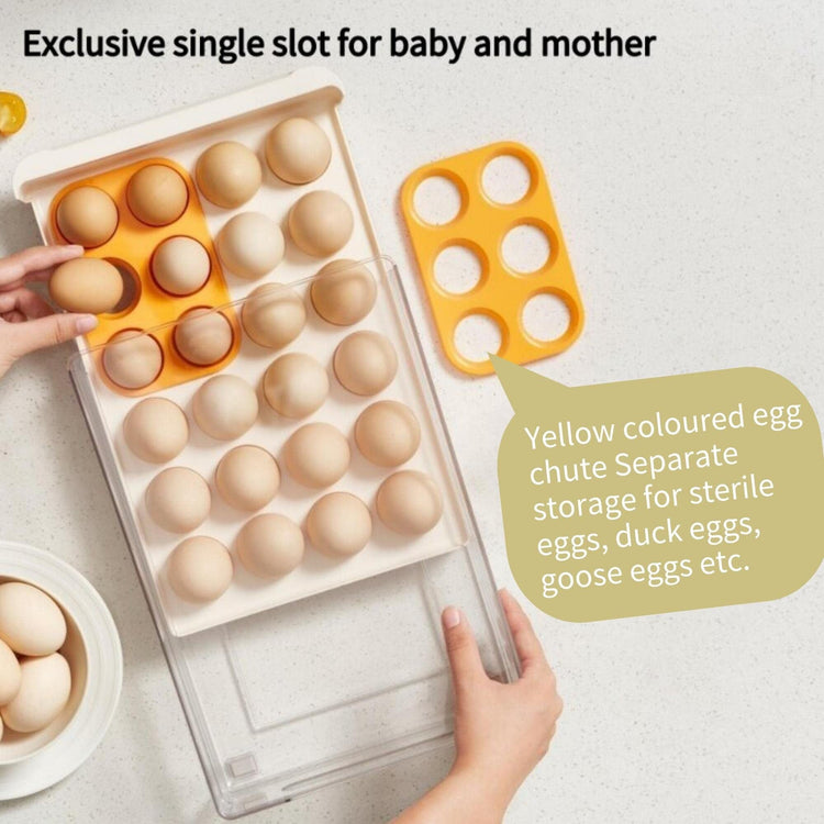 Egg Storage Container