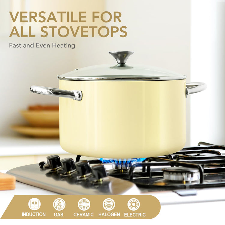 Stock Pot with Lid