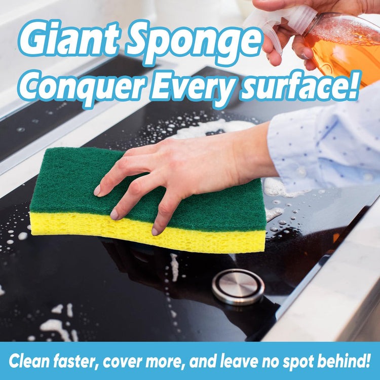XL Scrub Sponges Kitchen 12Count (12 Count)