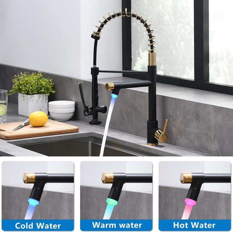 LED Kitchen Faucet with Pull Down Sprayer