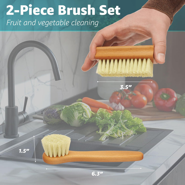 Vegetable Brush Set of 2 (2 count count)