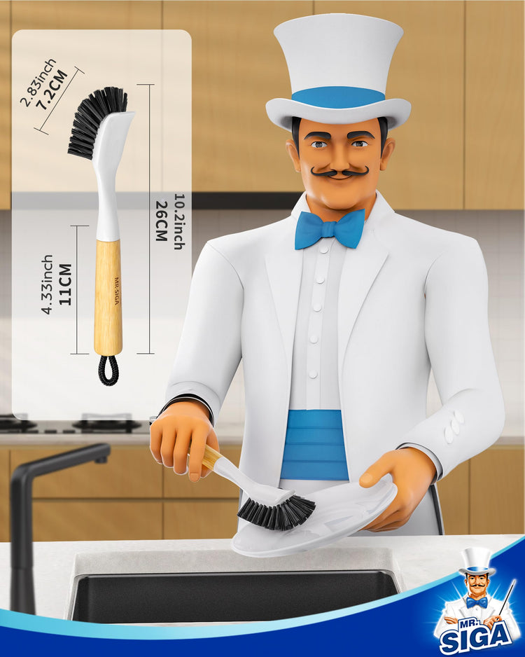Dish Brush with Handle (2 Count)