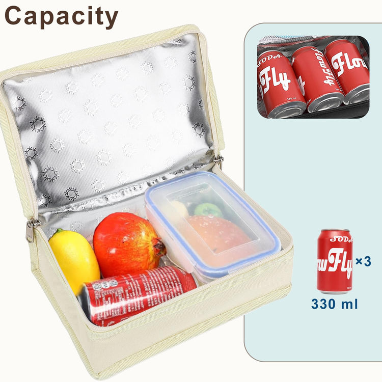Small Insulated Lunch box Portable Soft Bag Mini Cooler Thermal Meal Tote Kit with Handle for Work & School