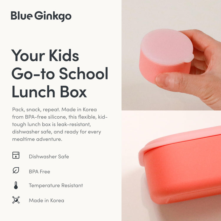 Bento Style Silicone Lunch Box Set