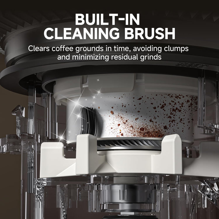 Burr Coffee Grinder