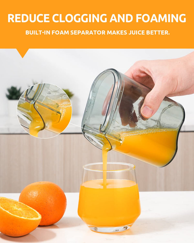 800W Juicer Machine
