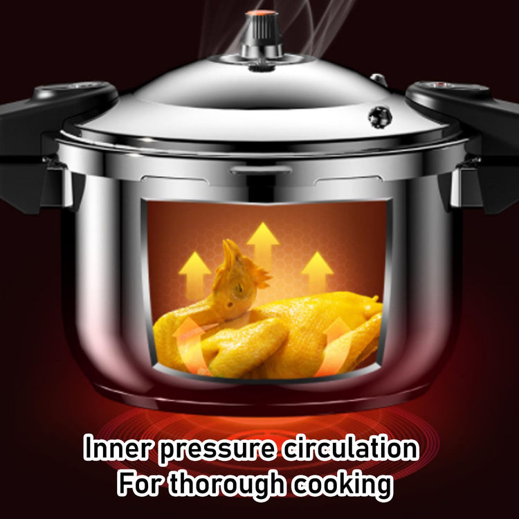 Stainless Steel Pressure Cooker