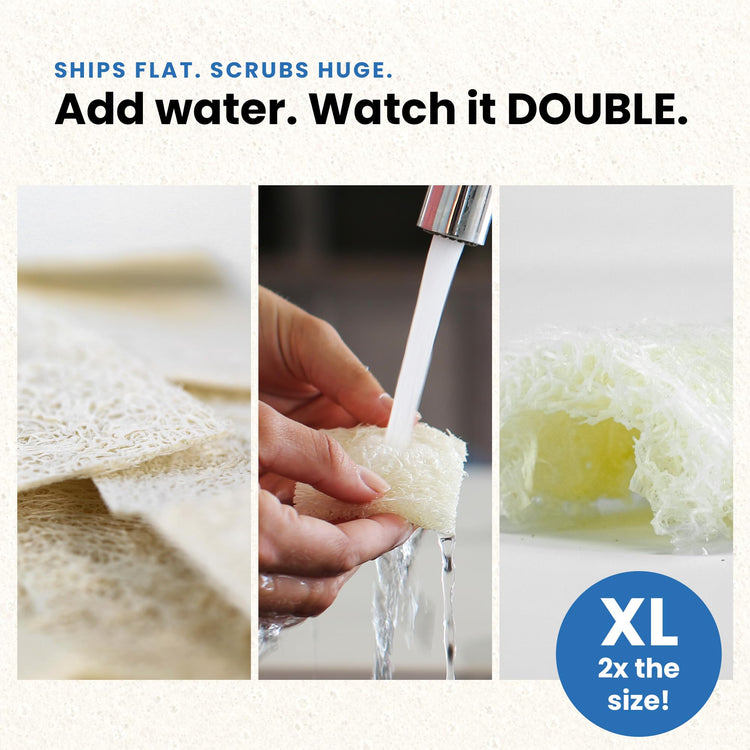 XL Loofah Scrub Sponge