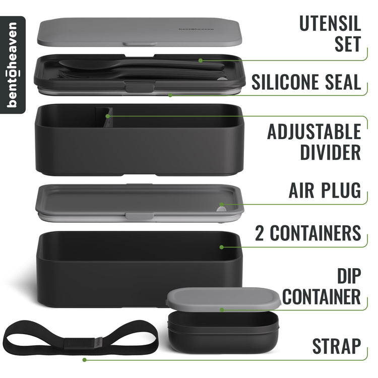 Bento Box Adult