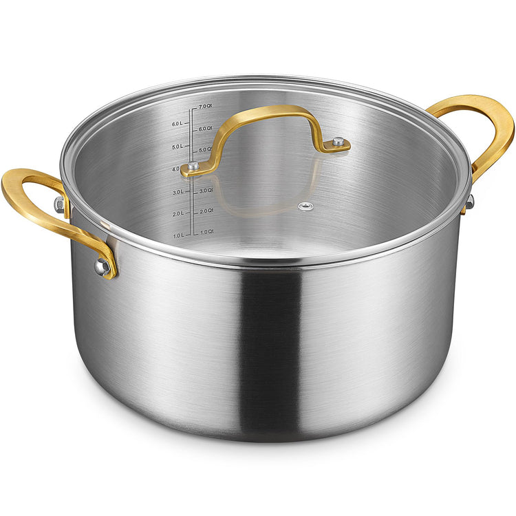 10 QT Stock Pot with Lid