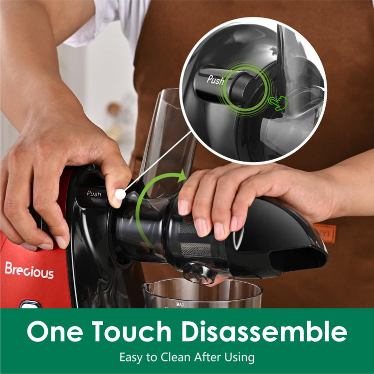 Slow Masticating Juicer