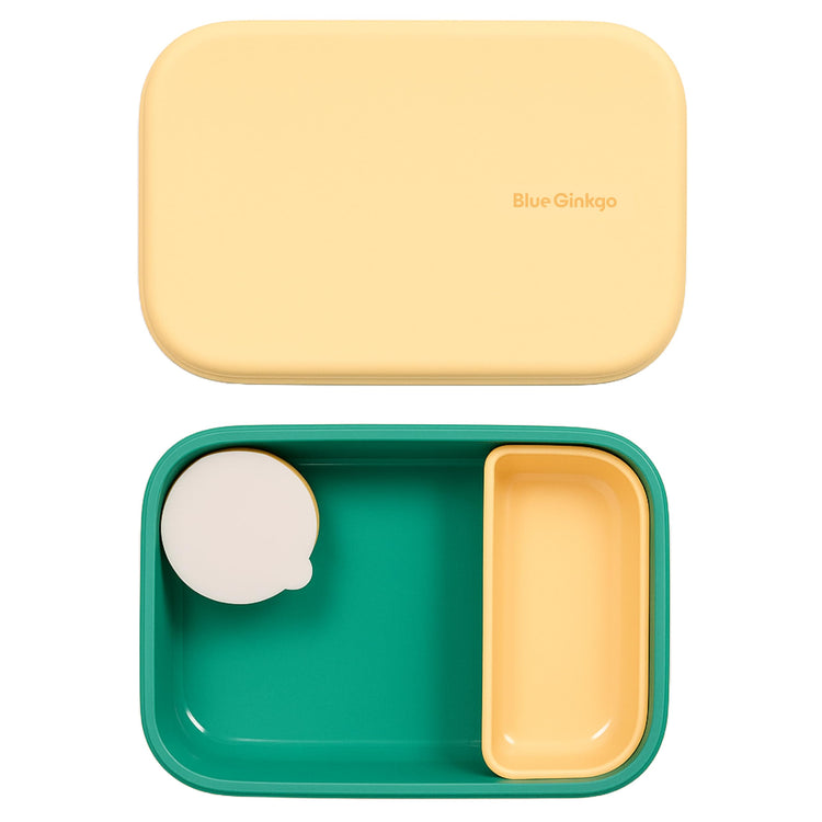 Bento Style Silicone Lunch Box Set