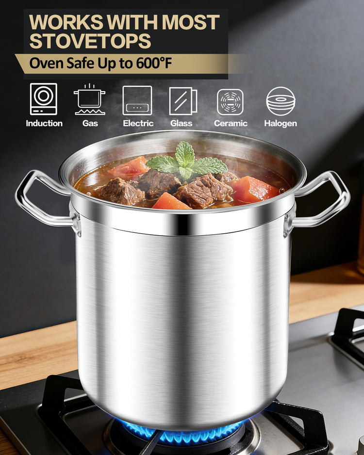 20 Quart Soup Pot with Lid