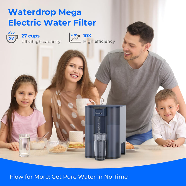 ED04B L Mega Electric Water Filter Dispenser
