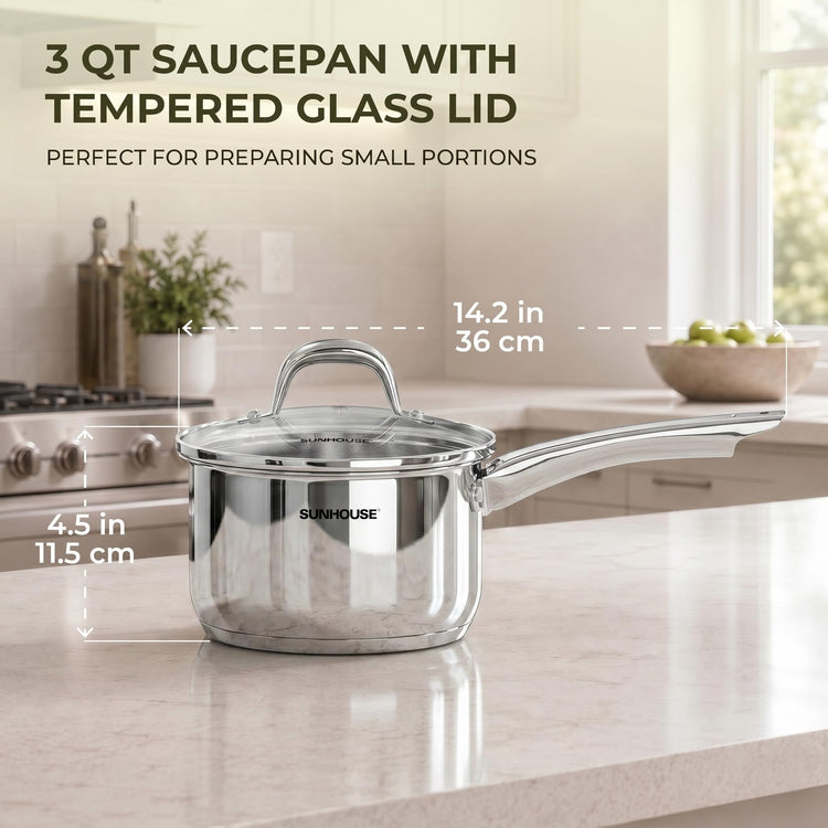 Stainless Steel Saucepan