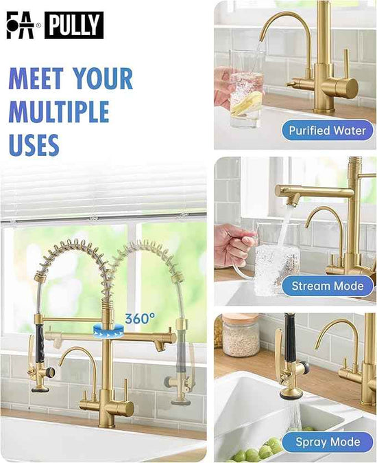 Fapully Commercial 3 Way Kitchen Faucets with Pull Down Sprayer and Water Filler,3 in 1 Kitchen Sink Faucet with Drinking Water Faucet Brushed Gold