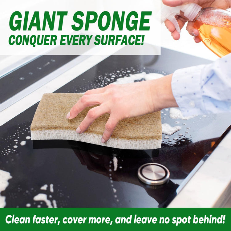 XL Sponges Kitchen (12 Count)