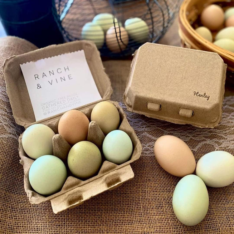 Half Dozen Blank Egg Cartons – 6-Pack Flat Top Half-Dozen Holder, Recyclable Pulp, Ideal for Farm-Fresh Eggs, DIY Custom Labeling, Eco-Friendly Storage - 20 Pack