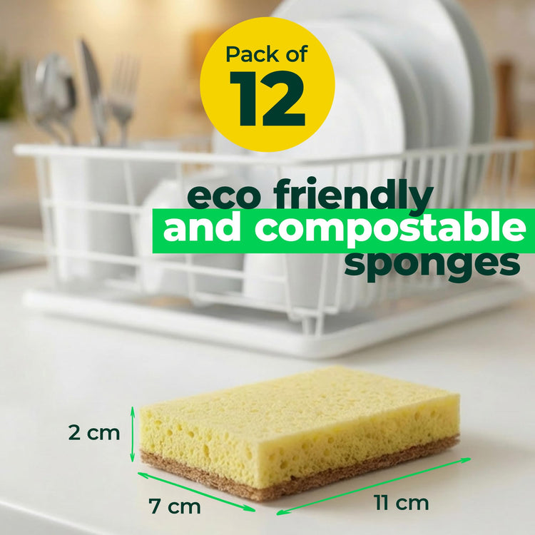 12 Pack Natural Biodegradable Kitchen Sponges (12 Count)