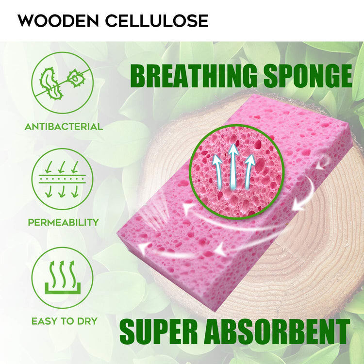 Compressed Cellulose Kitchen Sponges 12Pack (12 Count)