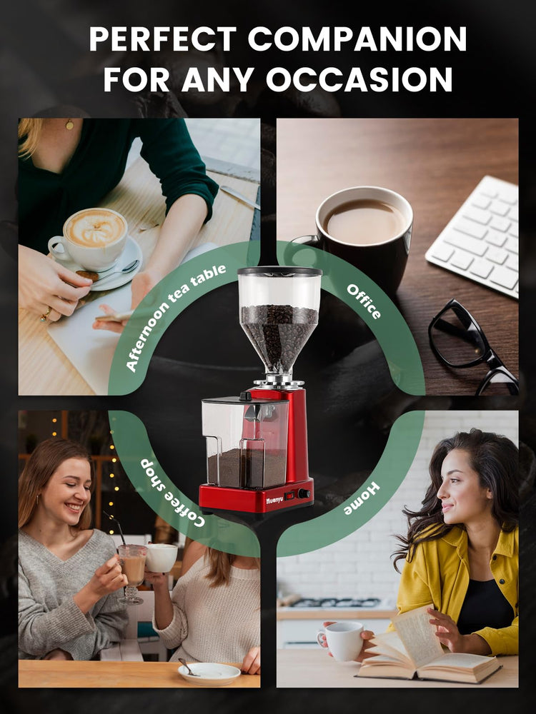 Flat Burr Coffee Grinder