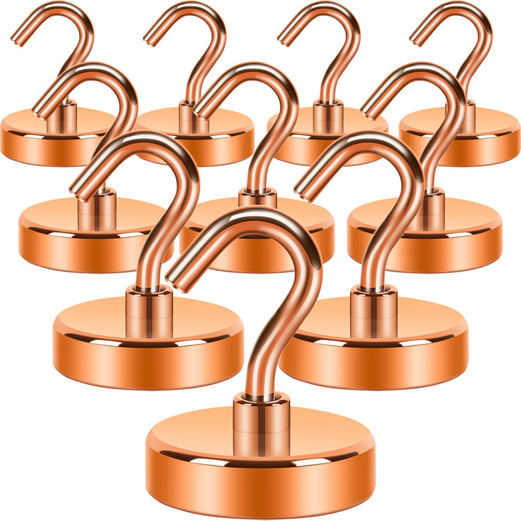 Magnetic Hooks (10 Count)