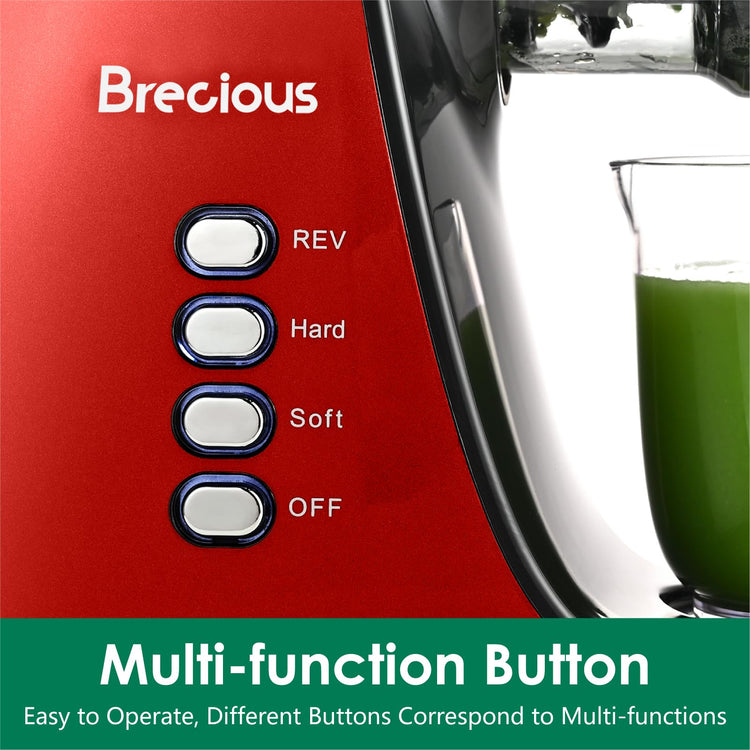 Slow Masticating Juicer