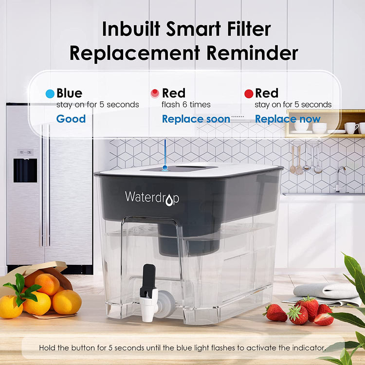 WFD-22L-A Alkaline Water Filter Dispenser, Large 40-Cup, Black