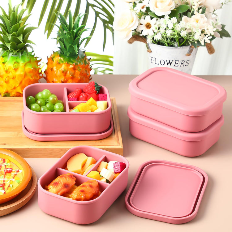 4 Pcs Silicone Bento Box (4 Count)