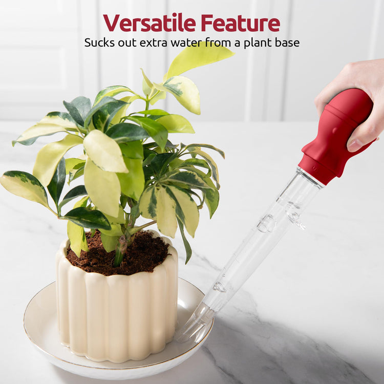 Turkey Baster for Cooking