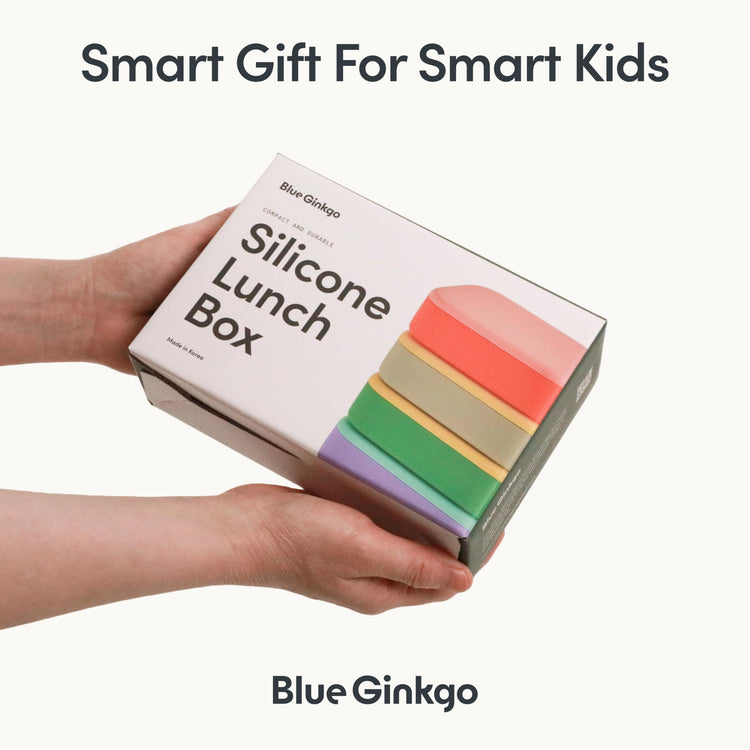 Bento Style Silicone Lunch Box Set